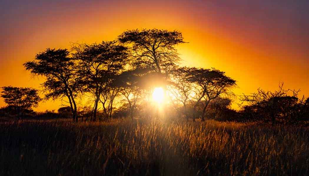 Kalahari Ambiente mit Reisetipps zu einer Outdoor Adventure Safari