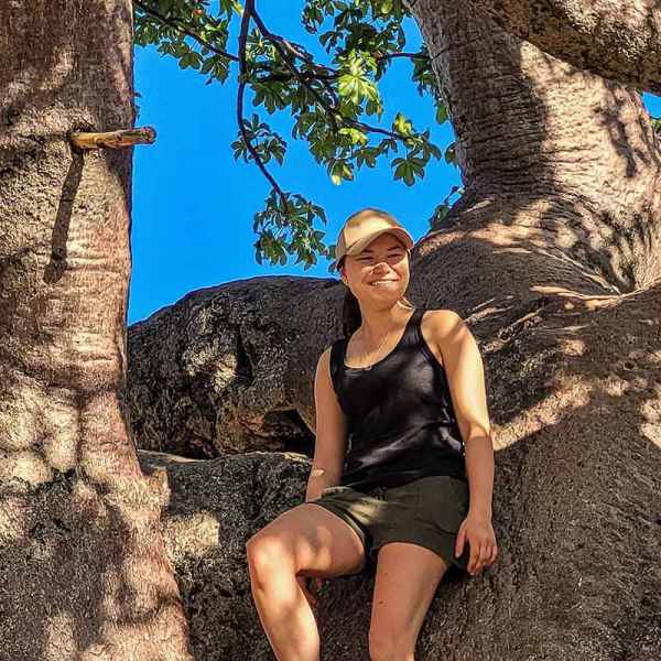 Im Baobab-Baum
