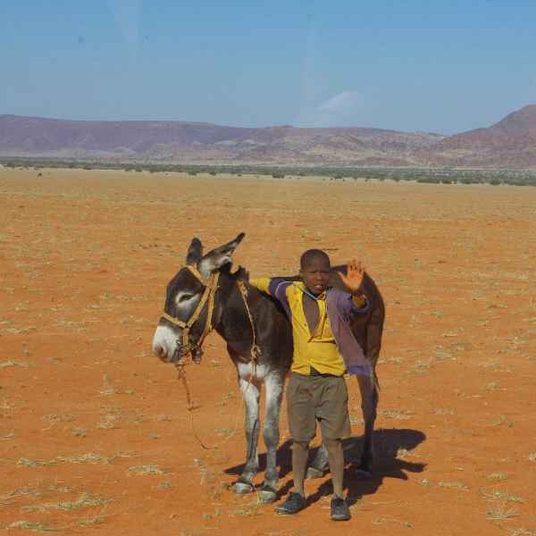 Himbajunge mit Esel