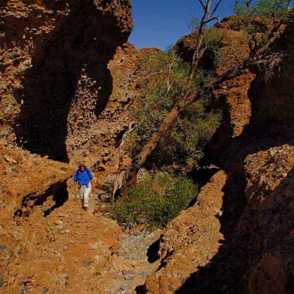 Namib Naukluft Wandertrail