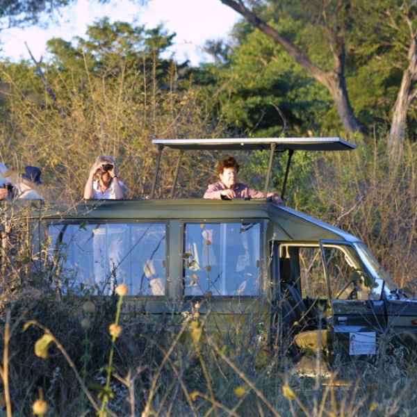 Pirschfahrt in einem Wilden Park in Botswana