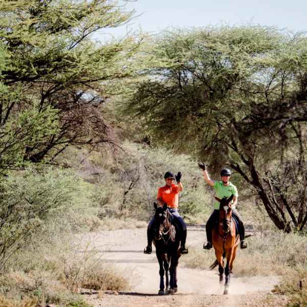 Reiten auf dem Kudu Trail