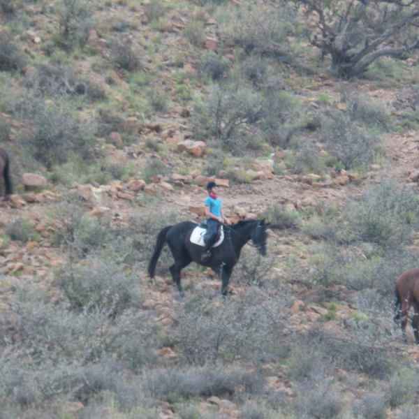 Zu Pferde in Namibia