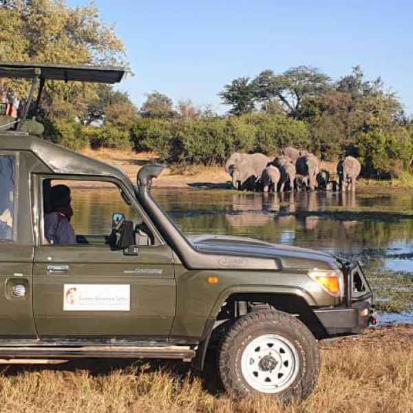 Elefantenpirschfahrt im Nationalpark