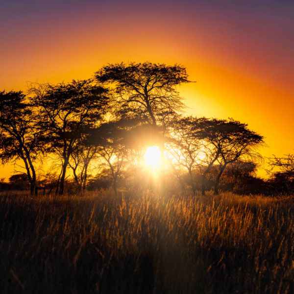 Sonnenuntergangsstimmung in Namibia