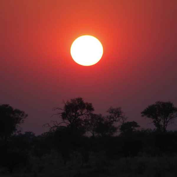 Mondschein in der Kalahari