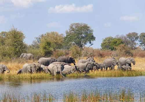 Elefanten im Norden Namibias