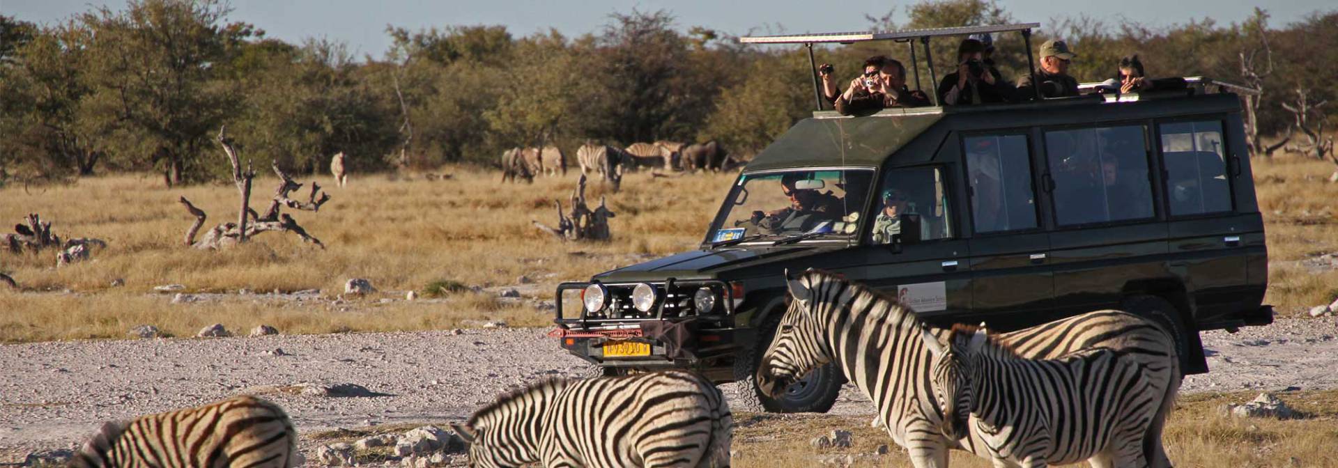 Etoscha National Park mit Outdoor Adventure Safaris